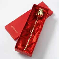 Echte Rosen – unvergängliche Zeichen der Liebe