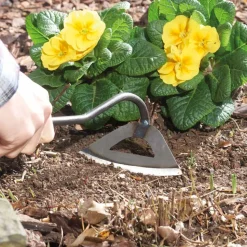 Effektiv Unkraut jäten – gründlicher als mit jedem Gartenmesser
