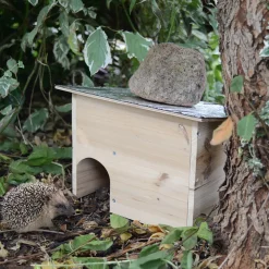 Ein sicheres Zuhause für Igel – in Ihrem Garten!