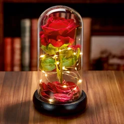 Eine Rose, die ewig erblüht!