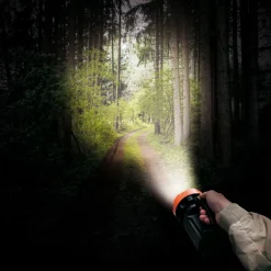 Geballte Lichtpower mit CREE- und COB-Technologie!