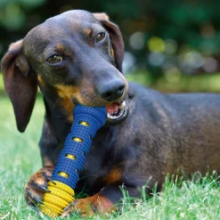 Gesund für den Hund: ein Kauspielzeug mit Zahnpflegeeffekt