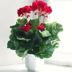 Kunstblume Geranie