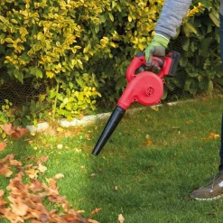 Laub wegblasen wie die Profis – ohne Kabel!