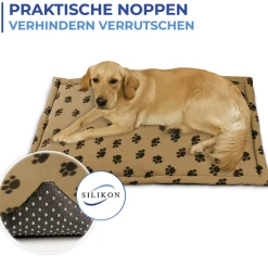 Multi-Tierdecke