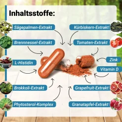 Schluss mit allen Prostata-Problemen! Die natürliche Prostata-Hilfe schon ab 67 Cent am Tag.