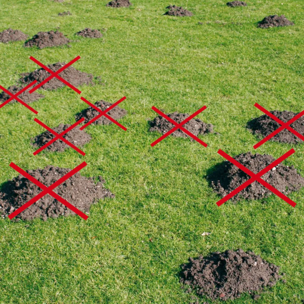 Schützen Sie bis zu 100 m2 Grundstück auf natürliche Art vor den unangenehmen Nagern!