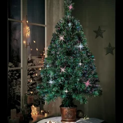 Stimmungsvoll beleuchtet: Dieser Baum erstrahlt in prächtigen Farben