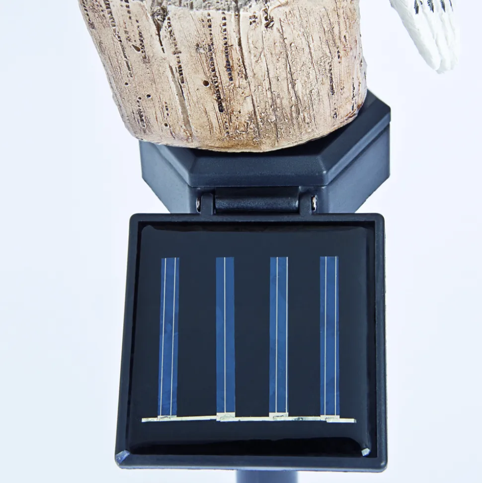 Tag und Nacht ein Blickfang mit Solar-Betrieb!