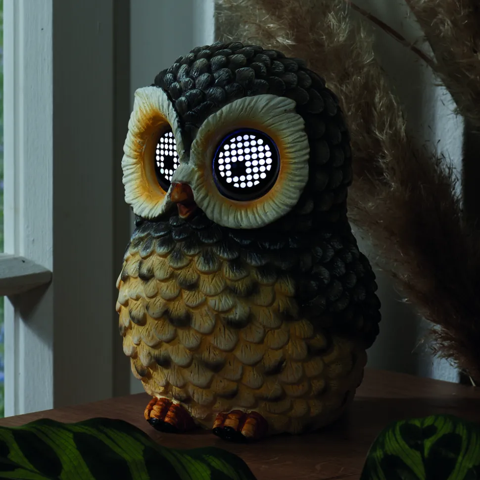 Unterhaltsames Lichtspiel: Diese Eule hat alles im Blick!