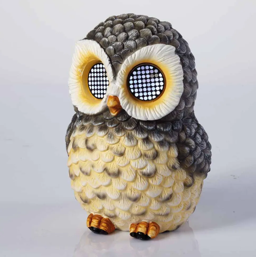 Unterhaltsames Lichtspiel: Diese Eule hat alles im Blick!