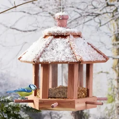 Vögel und Futter in Ihrem Garten immer im Blick